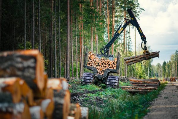 Tatec jobbar med skogsindustrin